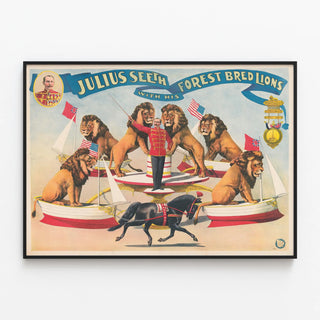 julius-seeth-with-his-forest-bred-lions