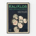 Vintage Poster Kali Klor Perfect Toothpaste