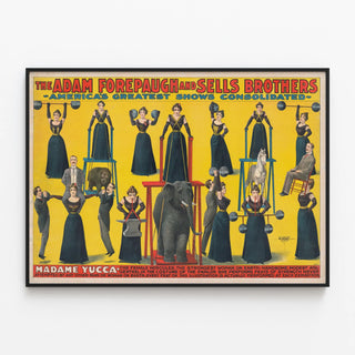 madame-yucca-the-female-hercules-the-strongest-woman-on-earth