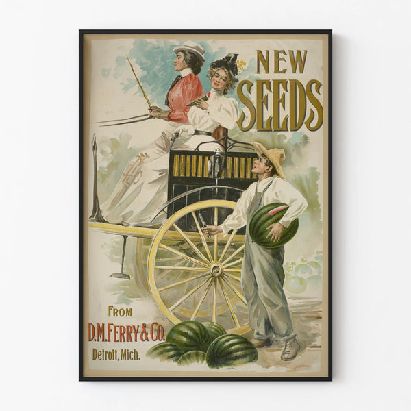 new-seeds