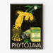 Póster vintage publicitario de Phytojava Medicina Natural