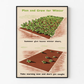 plan-and-grow-for-winter-summer-glut-leaves-winter-short-take-warning-now-and-dont-get-caught
