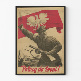 polacy-do-broni