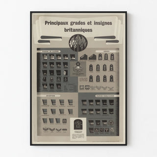 principaux-grades-et-insignes-britanniques