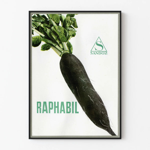 Póster vintage de rábano negro Raphabil Sandoz para decoración de paredes