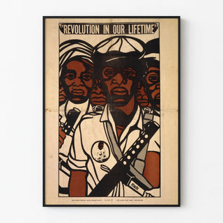 revolution-in-our-lifetime