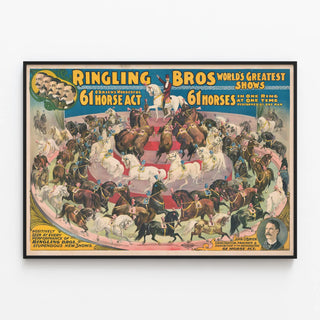 ringling-bros-worlds-greatest-shows-obriens-wonderful-61-horse-act-in-one-ring-at-a-time