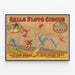 Póster vintage del Circo Sells Floto - Los Wards Voladores con Miss Mamie Ward — cuadro enmarcado en la pared