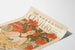 Póster vintage The Century Número de Verano de Agosto