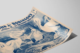 the-great-john-robinsons-4-ring-circus-school-of-immense-white-pelicans-the-only-ones-on-exhibition
