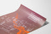 Scientific poster on the super-family of immunoglobulin genes and biological instrumentation