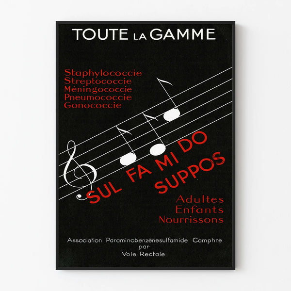 toute-la-gamme