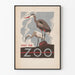 Póster vintage visita el zoológico con garzas
