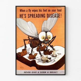 when-a-fly-wipes-his-feet-on-your-food-hes-spreading-disease
